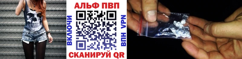 мориарти телеграм  Рошаль  Альфа ПВП Соль 