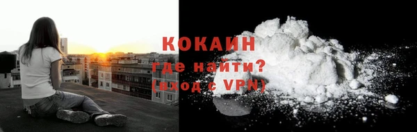 кокс Алексин