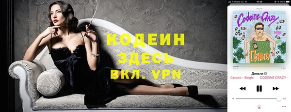 кокс Алексин