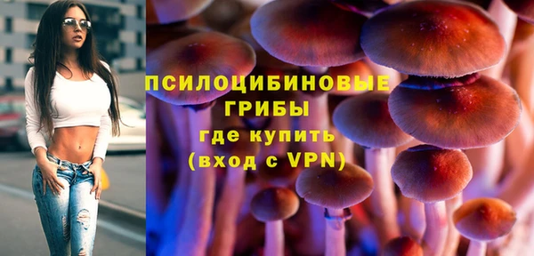 кокс Алексин