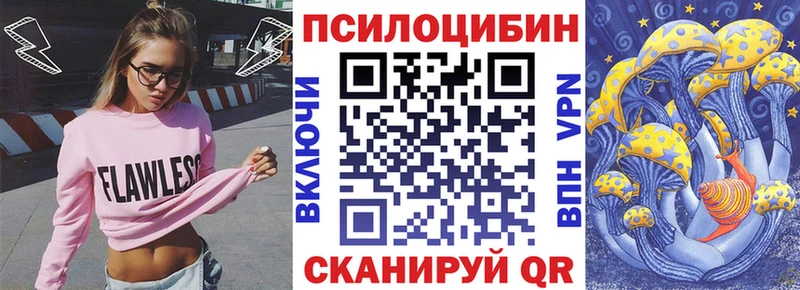 где найти   Рошаль  Галлюциногенные грибы Psilocybe 